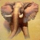 djumbo